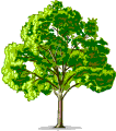 Arbre.gif (4382 octets)